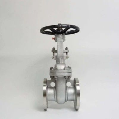 ANSI API 150Lb 300lb 3 дюймов 4 дюймов Y тип ручной нержавеющей стали фланцевый клапан