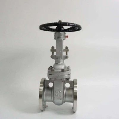 ANSI API 150Lb 300lb 3 дюймов 4 дюймов Y тип ручной нержавеющей стали фланцевый клапан