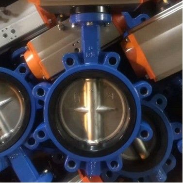 Водная среда PN10 PN16 Резиновый уплотнитель с подшипником типа Butterfly Valve Lt Type Worm
