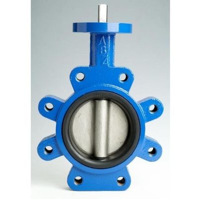 Водная среда PN10 PN16 Резиновый уплотнитель с подшипником типа Butterfly Valve Lt Type Worm