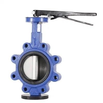 Водная среда PN10 PN16 Резиновый уплотнитель с подшипником типа Butterfly Valve Lt Type Worm