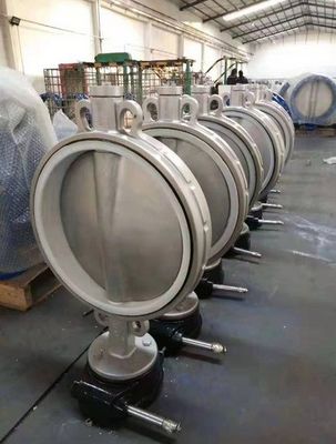 Настройка DN200 из нержавеющей стали для вафельных клапанов Бабочек GGG50 EPDM с сертификатом