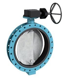 Wcb Body EPDM Seated Wafer/Lug Butterfly Valve с индивидуальной поддержкой и размером порта
