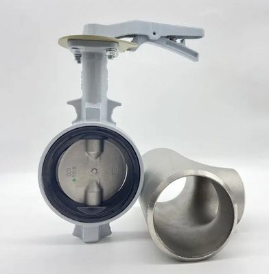 Размер порта с требованиями клиента Морская вода бабочка клапан DN100 DN500 2" 4