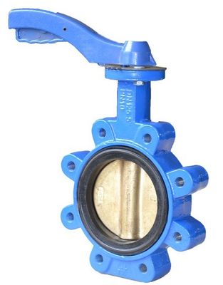 PN16 Литой железный рукав Lug Wafer Butterfly Valve для газовой среды и структуры диафрагмы