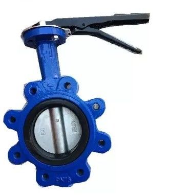 PN16 Литой железный рукав Lug Wafer Butterfly Valve для газовой среды и структуры диафрагмы