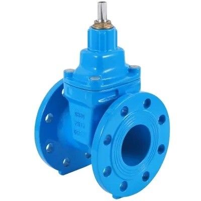 ДН80 ДН200 Y-типовой фильтр для HDPE труб PN16 Вязкий железный углеродистый стальной дверной клапан