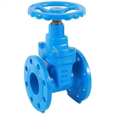 ДН80 ДН200 Y-типовой фильтр для HDPE труб PN16 Вязкий железный углеродистый стальной дверной клапан