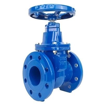 ДН80 ДН200 Y-типовой фильтр для HDPE труб PN16 Вязкий железный углеродистый стальной дверной клапан