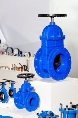 Конструкция типа Y ANSI/API/ASTM/ASME/WCB Фланцевая шаровая клапан с контрольным шаром