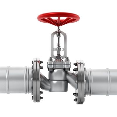 Нержавеющая сталь Pn25 DN 50 Wafer Lift Single Plate Swing Check Valve для клапана отвода