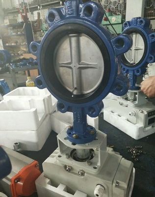 Поддержка на заказ ODM Ручная нержавеющая сталь червяная резинка Лак Бабочка санитарный клапан