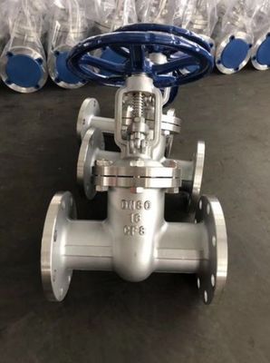 WCB DN500 PN25 Вратный клапан Доступен для OEM в углеродной стали / литой железе / нержавеющей стали