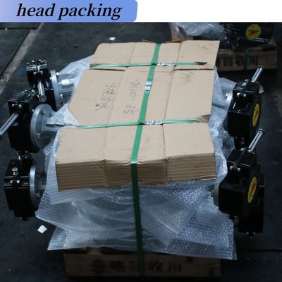 OEM Литой железный червяк оператор двойной фланцевой EPDM/NBR сиденья нержавеющей стали Диск Lug Wafer Butterfly Valve