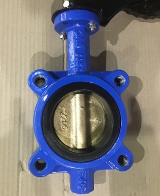 Настраиваемый DN600 DI CI корпус SS Disc Lug канализационный клапан бабочки для различных отраслей промышленности