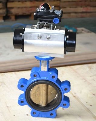 Настраиваемый DN600 DI CI корпус SS Disc Lug канализационный клапан бабочки для различных отраслей промышленности