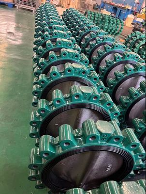 Водные приложения клапаны для бабочек AWWA Wafer Lug Double Flanged C954 C950