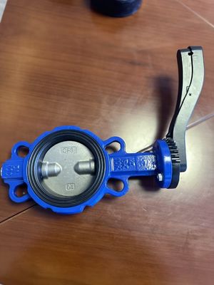 Специализированный сервис Ручной клапан бабочки для OEM гибкий железный фланц Lug Wafer тип