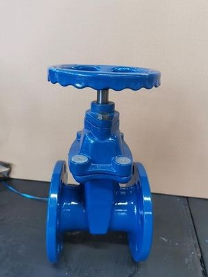 Водяные СМИ DN600 PPR Вставка клапана с гибкостью OEM предлагается