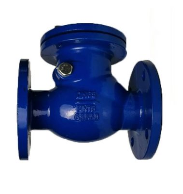 Двойной фланцевый отливный железный ggg50 DI Swing Check Valve для конструкции типа Y ANSI Standard