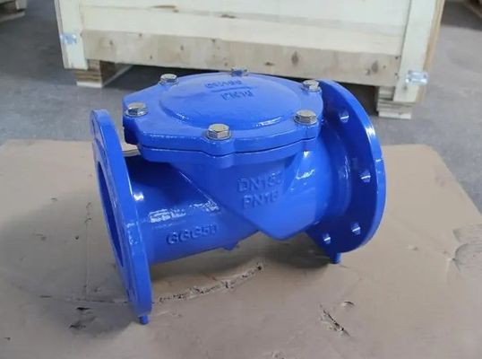 Двойной пластины латуни HDPE одиночный контрольный комплект контрольный клапан для зависит от спецификаций