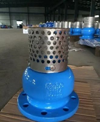 Услуги по индивидуальному заказу WCB Литой железный фланцевый конечный клапан для устойчивого и жидкостного управления